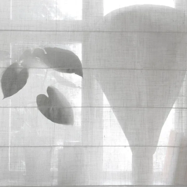 Ellie Laskosverho 110x220 cm Valkoinen