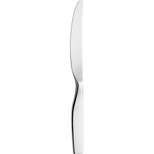 Citterio 98 Bordkniv Skinnende