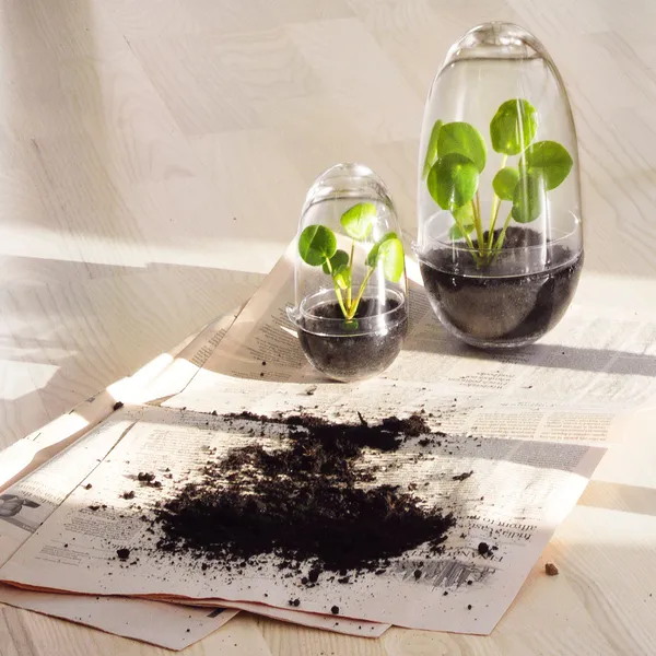 Grow Minidrivhus S Klar