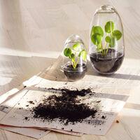 Grow Minidrivhus S Klar