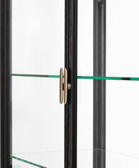 Private Vitriini 110x45x191 cm Brown Black Petsattu Tammi