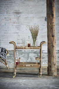 Carlo Serveringsvogn Antique