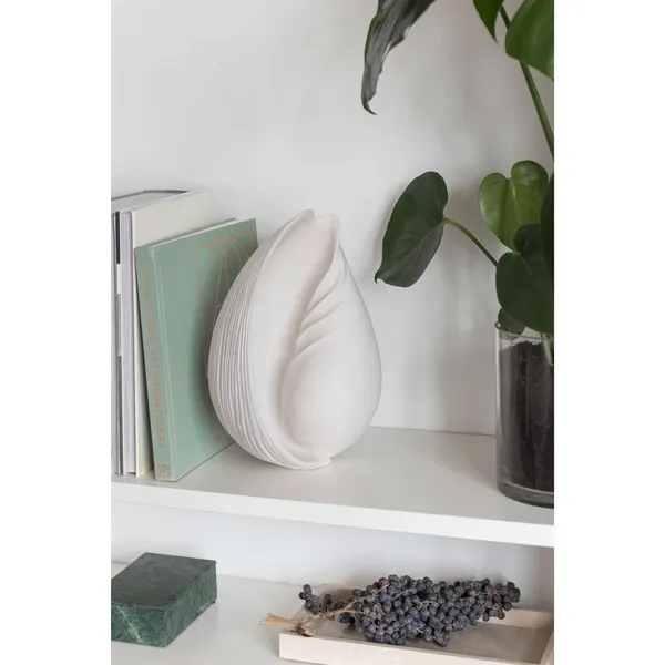 CONCH shell Dekoration Offwhite Stor