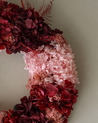 Bloom Seppele