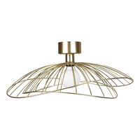 Ray Seinä-Kattovalaisin Brushed Brass