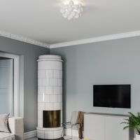 Gross Plafond 30 cm Matthvit