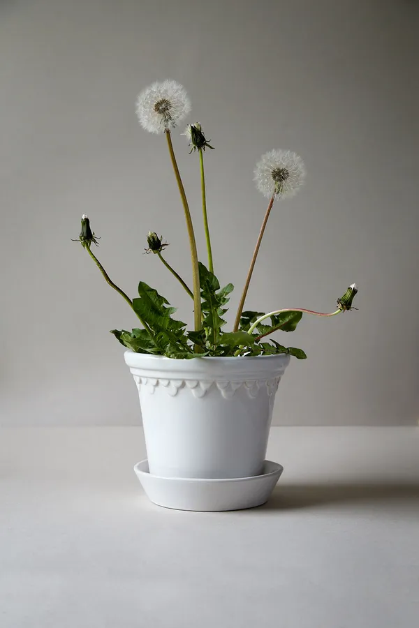 Copenhagen Kruka Med Fat Mineral White Ø18 cm