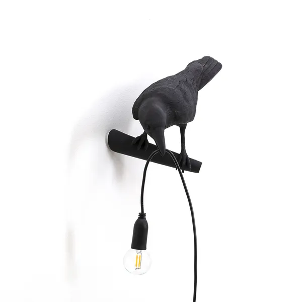 Bird Lamp Looking Sort