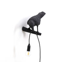 Bird Lamp Looking Sort