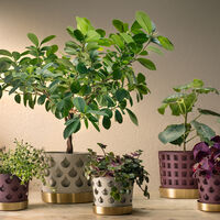 Trio Drop Krukke Beige 12 cm / Small