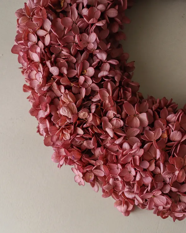 Hydrangea Krans Rose