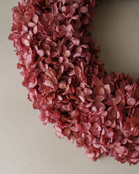 Hydrangea Krans Rose