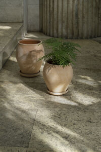 Delphi Krukke Standard 20 cm Rosa