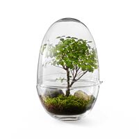 Grow Minidrivhus S Klar