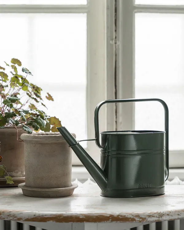 Vannkanne 28 cm Sage