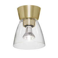 Bizzo Plafond IP21 Messing