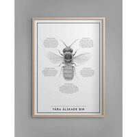 Våra Älskade Bin Plakat 50x70 cm