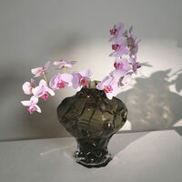 Ammonit Vase 30 cm Røyk