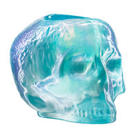 Still Life Skull Lyhty Musta