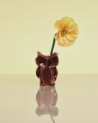 After Midnight Ugglevas S Aubergine