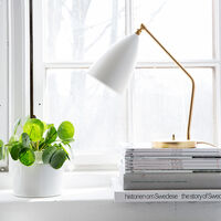 Gräshoppa Bordlampe Glossy Black