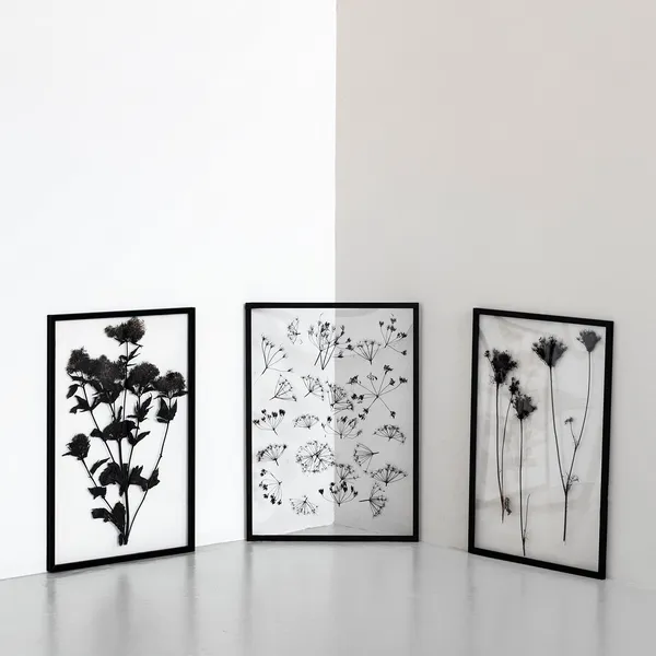 Frame A3 Ramme 317x44 cm Røkt Eik