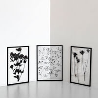 Frame A3 Ramme 317x44 cm Røkt Eik