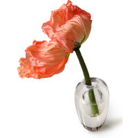 Liv Vase Munnblåst Glass Hvit