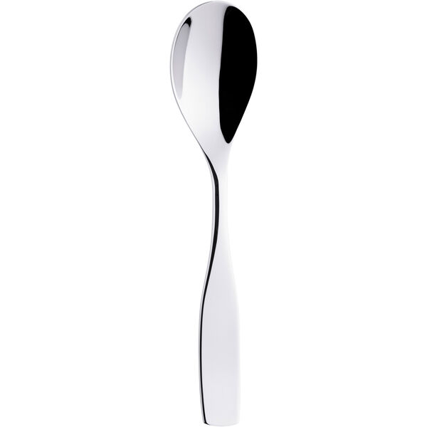 Citterio 98 Matsked Blank