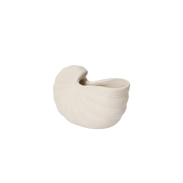 Shell Vase 11 cm