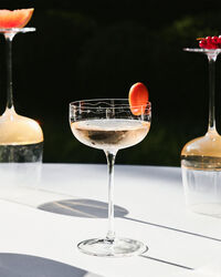 Midnight Flowers Champagneskål 24 cl Transparent
