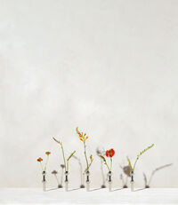 Nagel Vase Krom