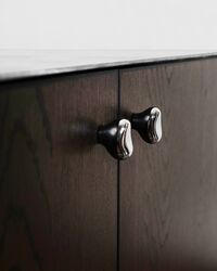 Rud Knopp Titanium