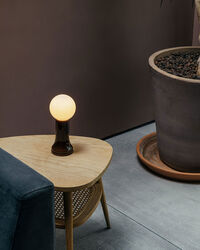 Shore Table Lamp Bottle Brown