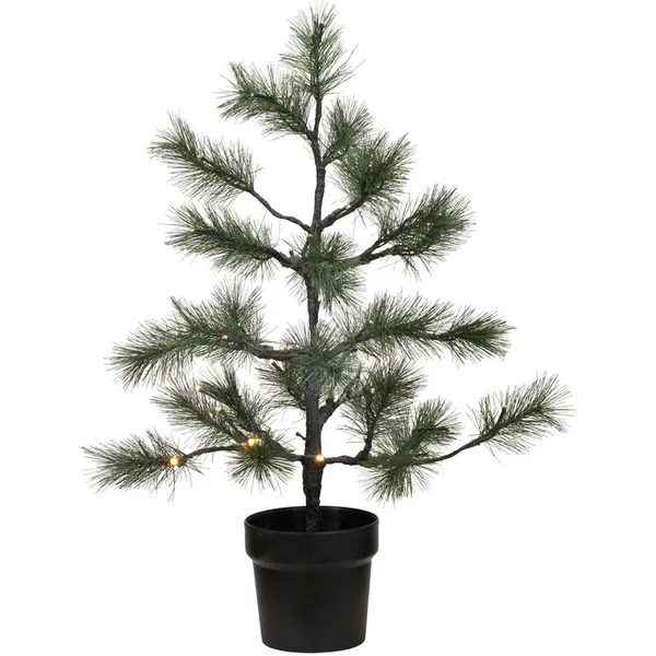 Peuce Juletræ Med LED-lamper Grønt