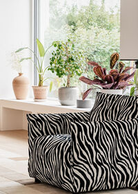 Le Petite Fåtölj Zebra Svart / Vit