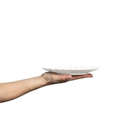 Oyster Tallrik Vit 20 cm