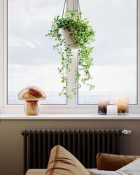 Mira Mushroom Bordslampa 30 cm Natur