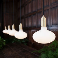 Oval E27 LED Pære 6W - Dæmpbar