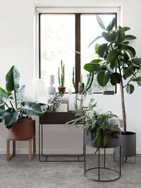 Plant Box Blomsterkasse 60x65 cm Sort