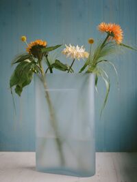 Ridge Vase Frostet 485 cm Lyseblå