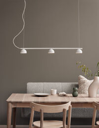 Blush Rail 3 Pendel Mathvid