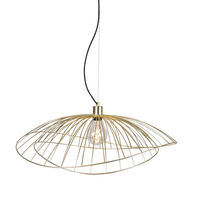 Ray 70 Pendel Brushed Brass