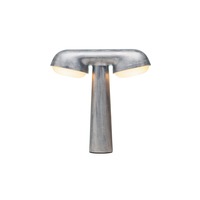 TGV Bordslampa Raw