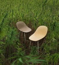 Mat Stol Seaweed / Cremefarvet