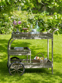 James Serveringsvagn Outdoor Antique