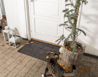 Dot Doormat 60x90 cm Black