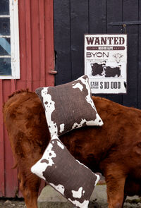 Anima Cow Pude 40x60 cm Brun