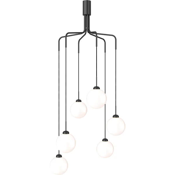 Apiales Cluster 6 Ljuskrona Satin Black / Opal