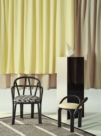 Bistra Jakkara Ebony / Fustagno 001